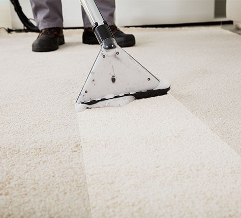 Carpet Cleaning